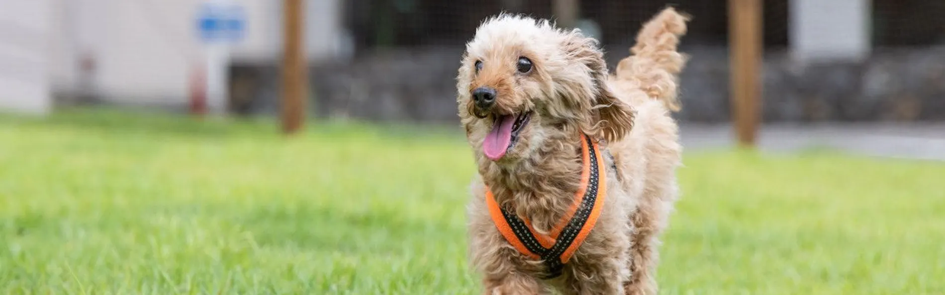 アパホテル&リゾート〈上越妙高〉