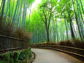 相鉄フレッサイン 京都四条烏丸