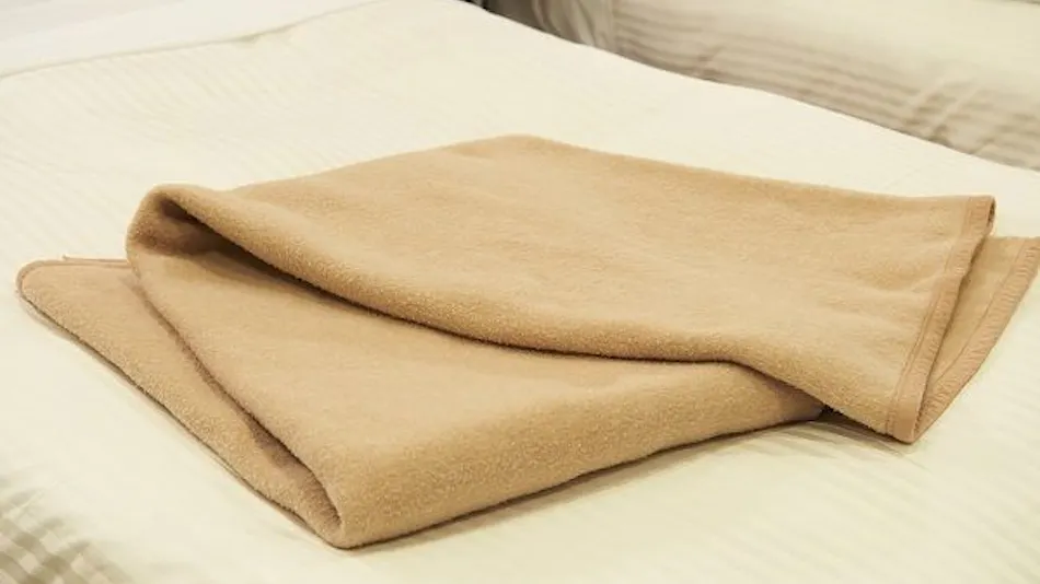 Sotetsu Fresa Inn Ginza-Sanchome