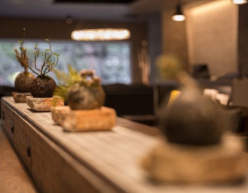 リビングロビー：植栽作品