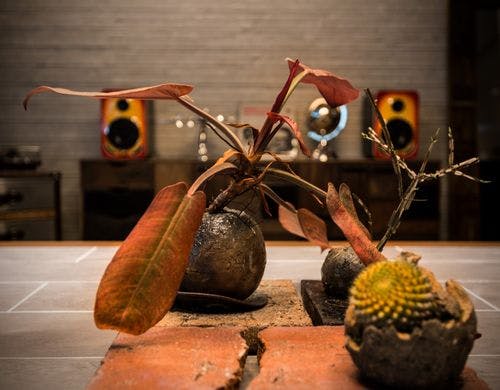 リビングロビー：レコード