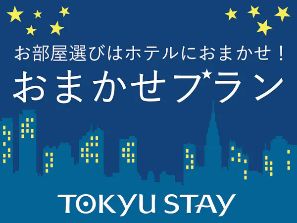 おまかせプラン 18平米以上のお部屋【禁煙・1名】(素泊)