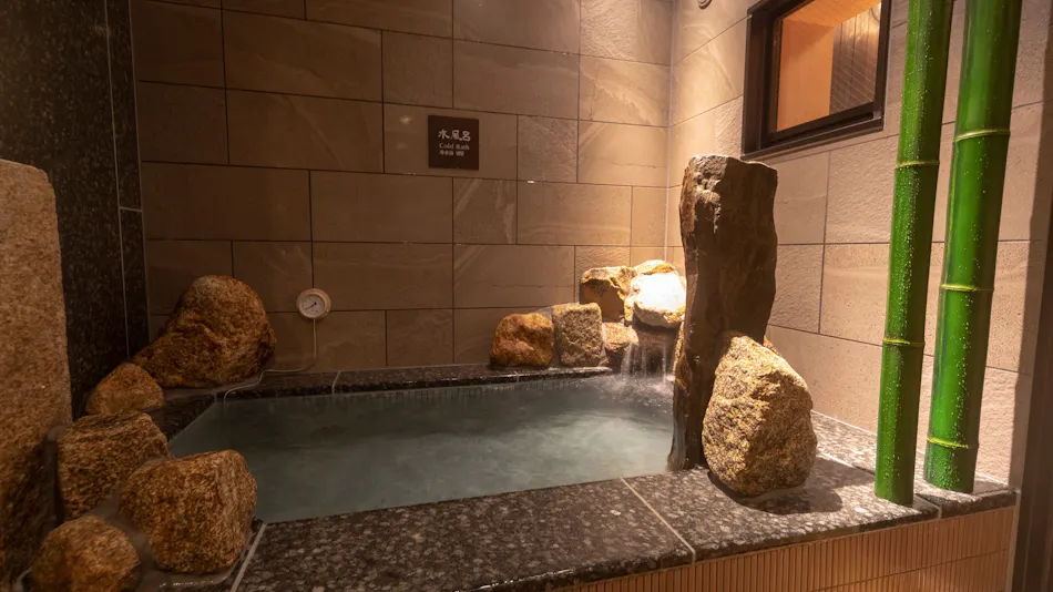 Dormy Inn Premium Namba ANNEX