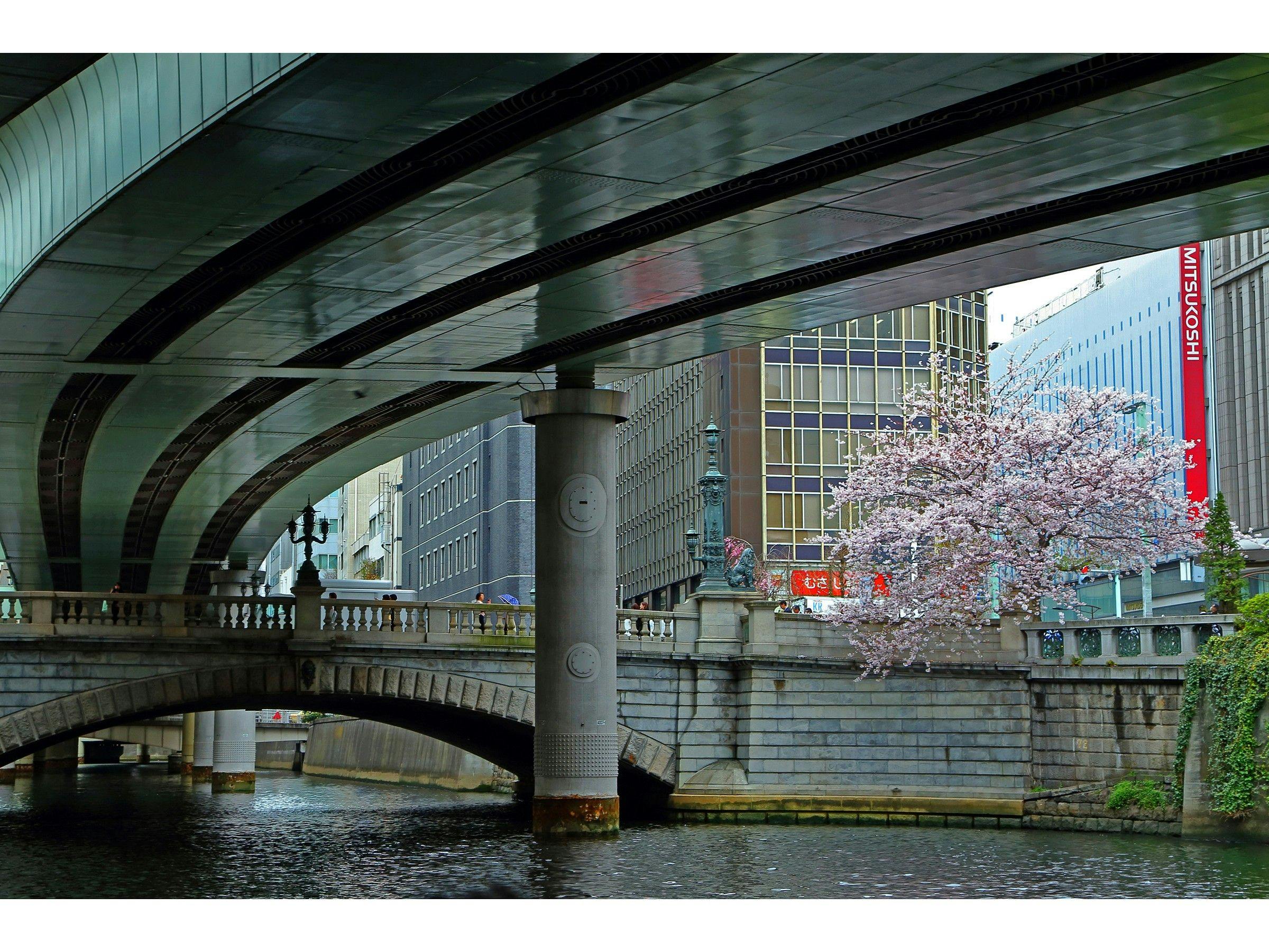 写真提供：一般社団法人中央区観光協会