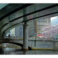 写真提供:一般社団法人中央区観光協会