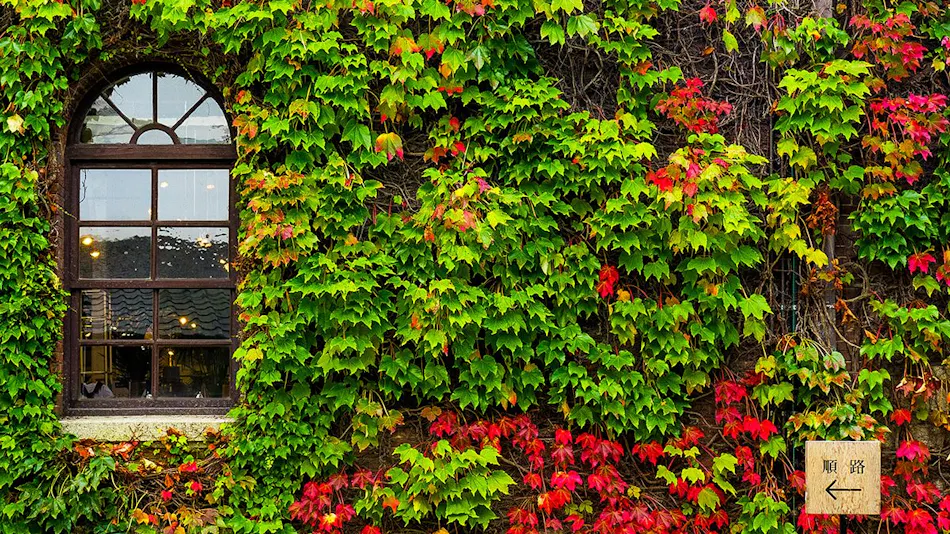 Kurashiki Ivy Square