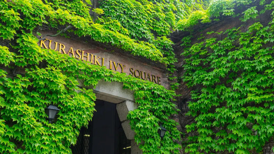 Kurashiki Ivy Square