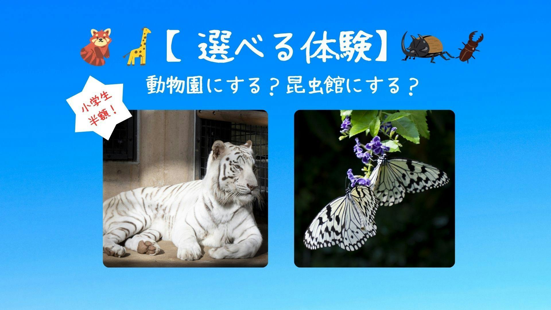 【小学生半額！】選べる体験チケット付 動物園or昆虫館プラン ナイトZOO開催日もあり＜食事なし＞