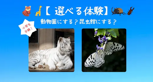 【小学生半額!】選べる体験チケット付 動物園or昆虫館プラン ナイトZOO開催日もあり<食事なし>