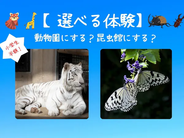 【小学生半額!】選べる体験チケット付 動物園or昆虫館プラン ナイトZOO開催日もあり<食事なし>