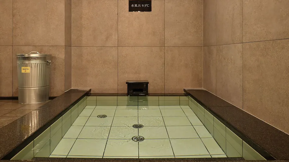 Centurion Hotel & Spa Classic Izumo