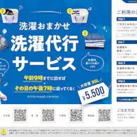 บริการซักผ้าดัสกิ้น