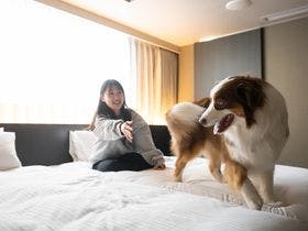 ｈｏｔｅｌ　ａｎｄｄｏｇｇｙ京都二条
