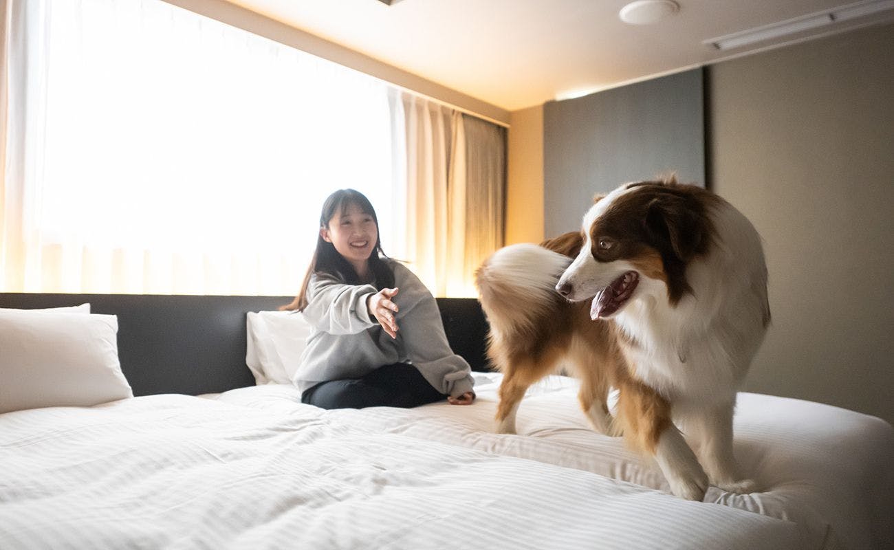 ホテル・アンドドギー京都二条