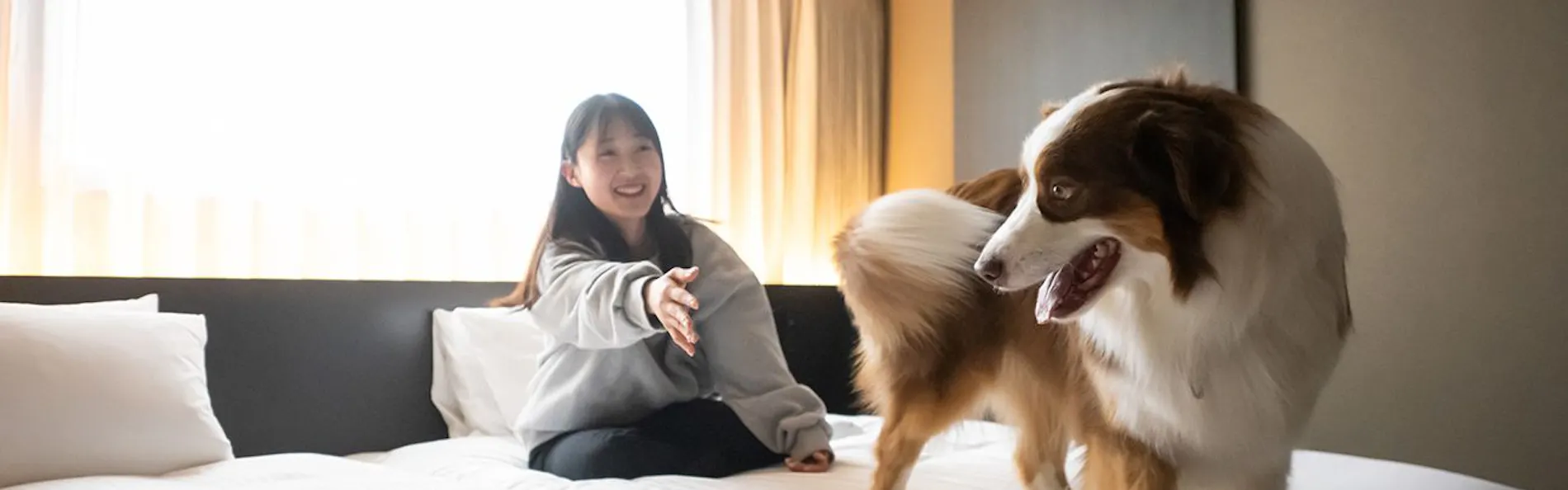 ホテル・アンドドギー京都二条