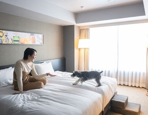 Bow-Wow スーペリアツイン イメージ