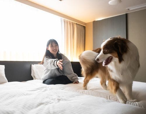 Bow-Wow デラックスツイン イメージ