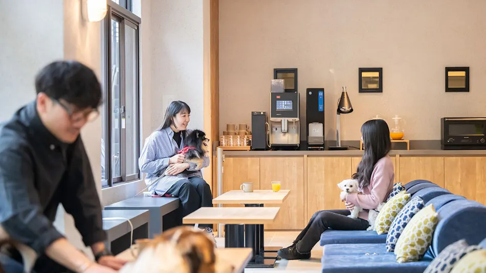 hotel anddoggy Kyoto Nijo
