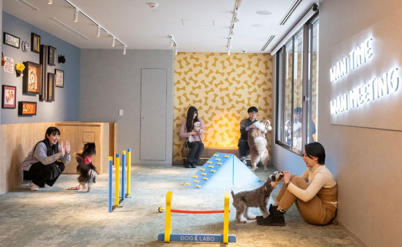 ホテル・アンドドギー京都二条