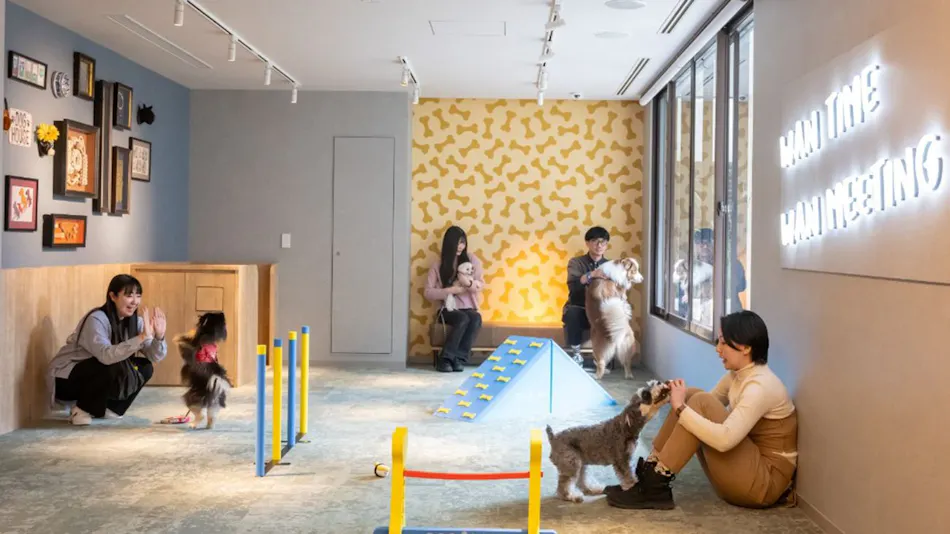 hotel anddoggy Kyoto Nijo