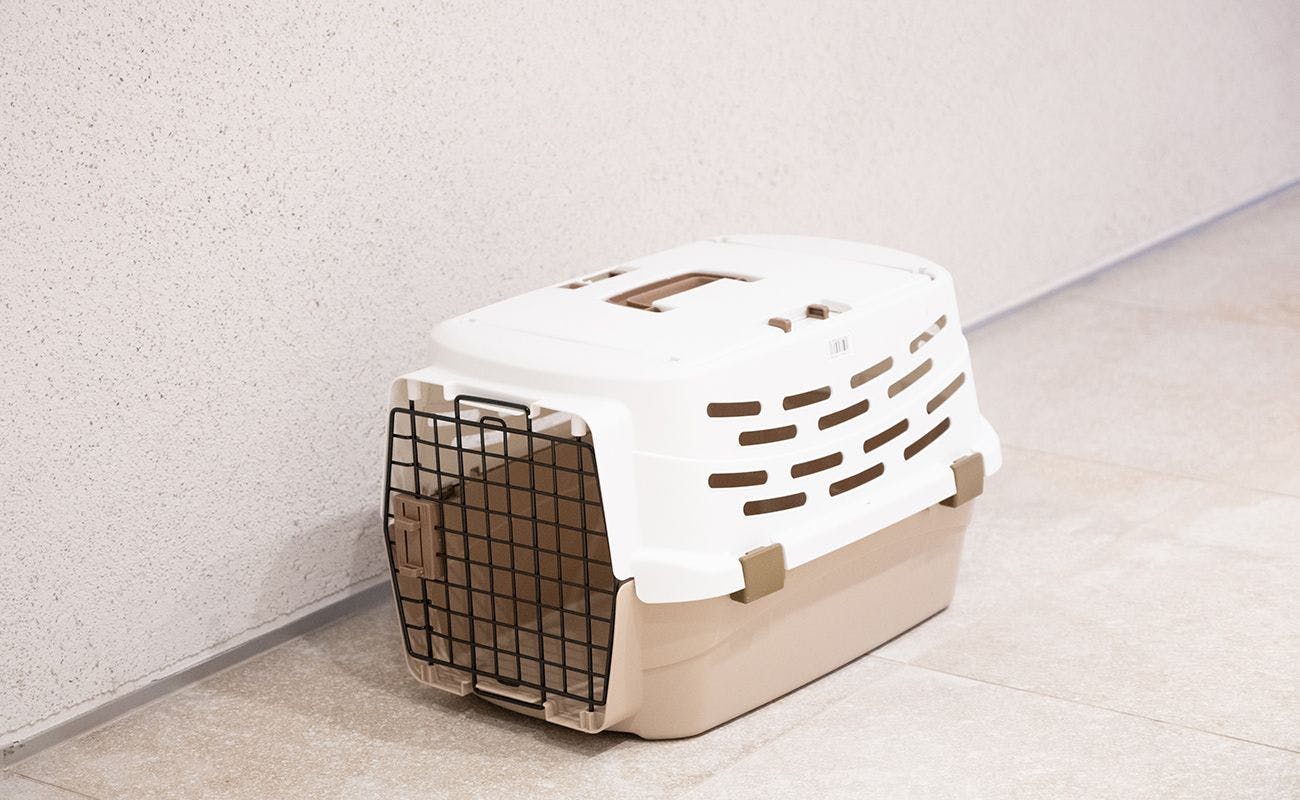 Pembawa haiwan peliharaan