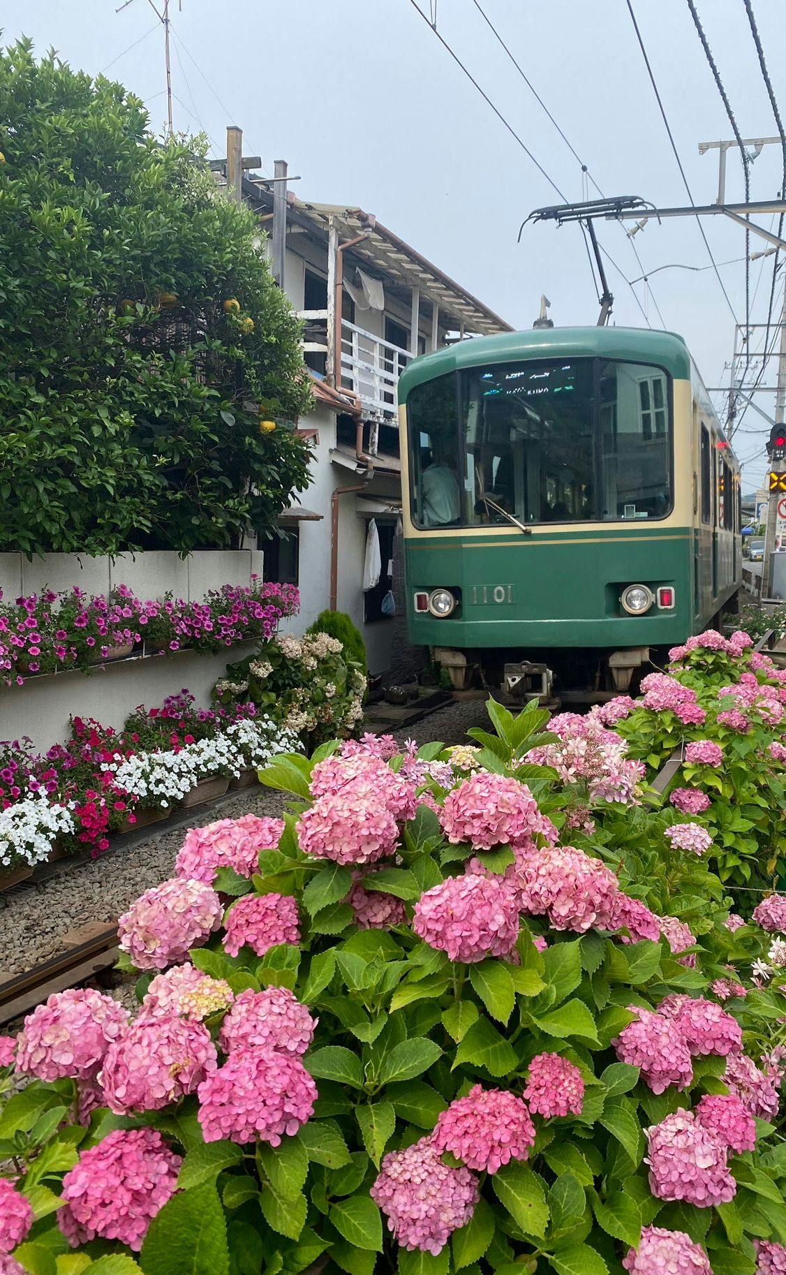 ภาพตัวอย่างรถไฟเอโนชิมะเด็นเท็ตสึ