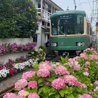 Foto ilustrasi Enoden (Kereta Listrik Enoshima)