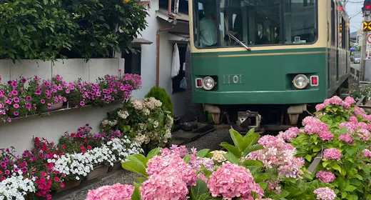 江ノ電1日乗車券付きプラン