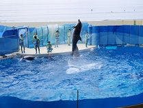 江ノ島水族館入場券付きプラン
