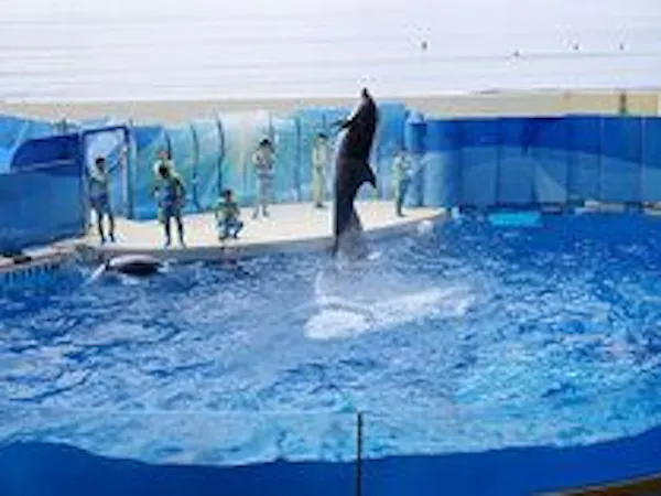 江ノ島水族館入場券・朝食付きプラン