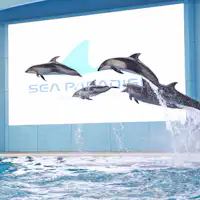 海豚表演