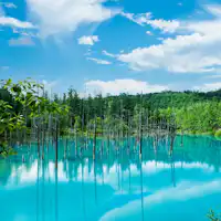 บิเอ "สระน้ำสีฟ้าชิโรกาเนะ"