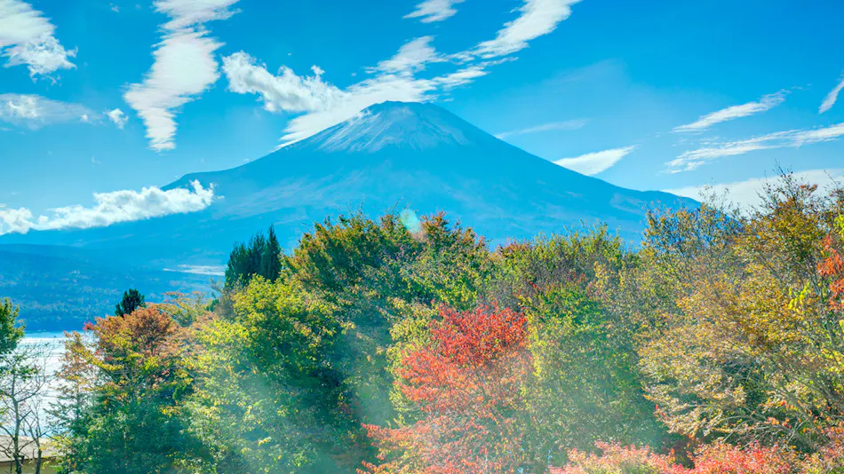 Forest Resort Yamanakako Shuyansou