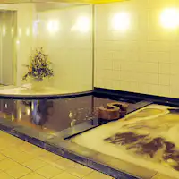 อ่างอาบน้ำของน้ำพุร้อนธรรมชาติชินโยโกฮามะ