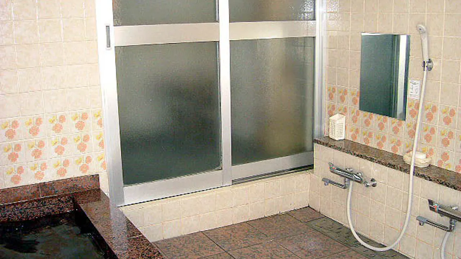 Business Hotel Kagasya