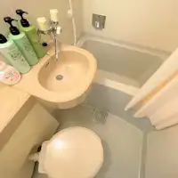 ภาคผนวกซิงเกิล - ประเภทเอฟซิงเกิล