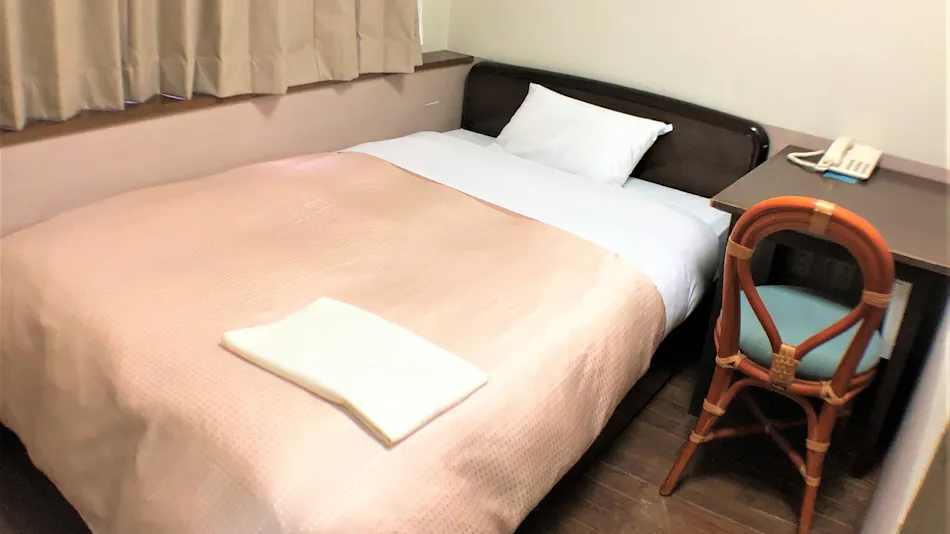 Hotel Stay Inn NANA Annex