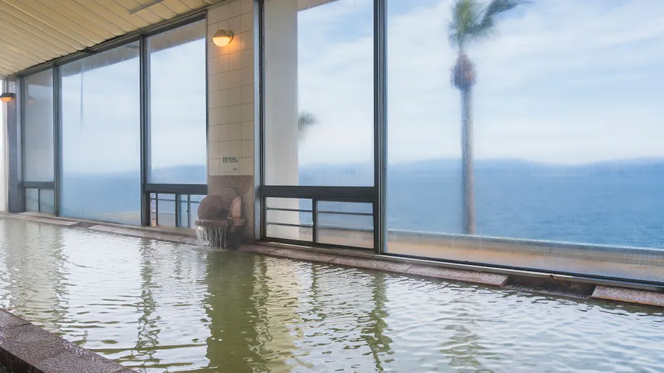 Ibusuki Seaside Hotel