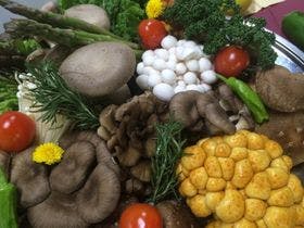 高遠さくらホテル