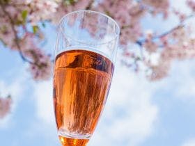 高遠さくらホテル