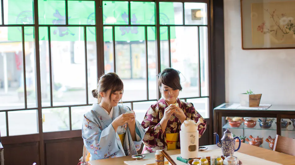 Takato Onsen Takato Sakura Hotel
