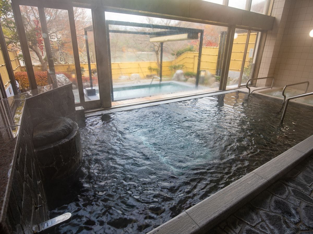 Takato Onsen Takato Sakura Hotel