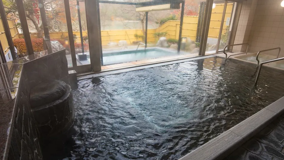 Takato Onsen Takato Sakura Hotel