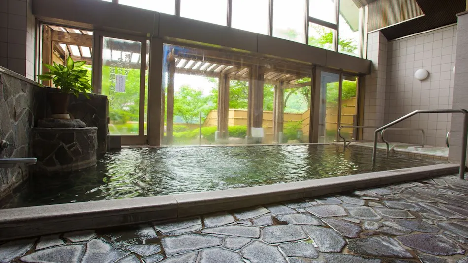Takato Onsen Takato Sakura Hotel