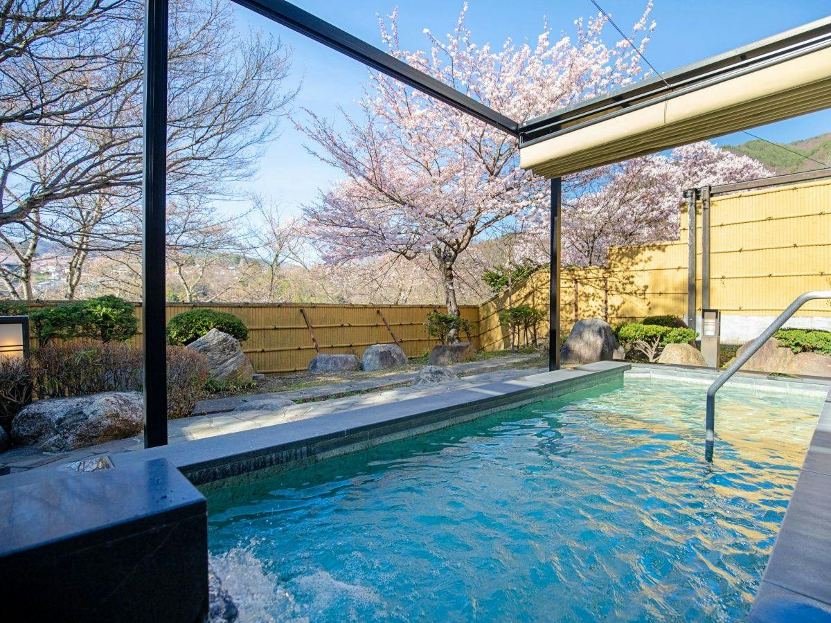 Takato Onsen Takato Sakura Hotel