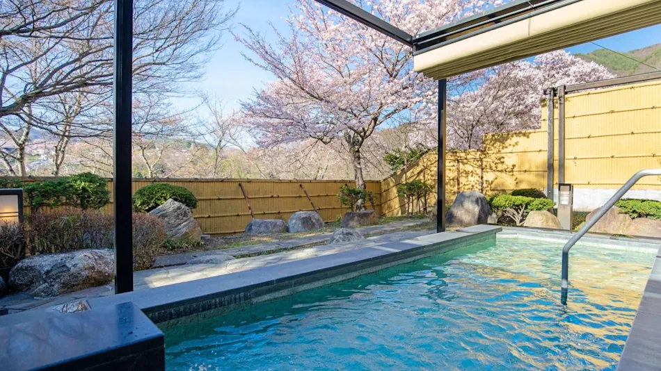Takato Onsen Takato Sakura Hotel