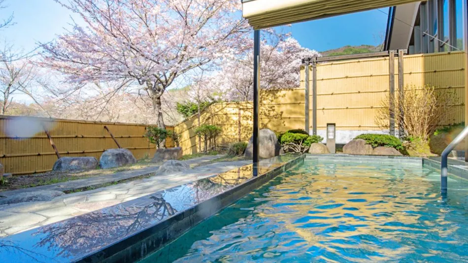 Takato Onsen Takato Sakura Hotel