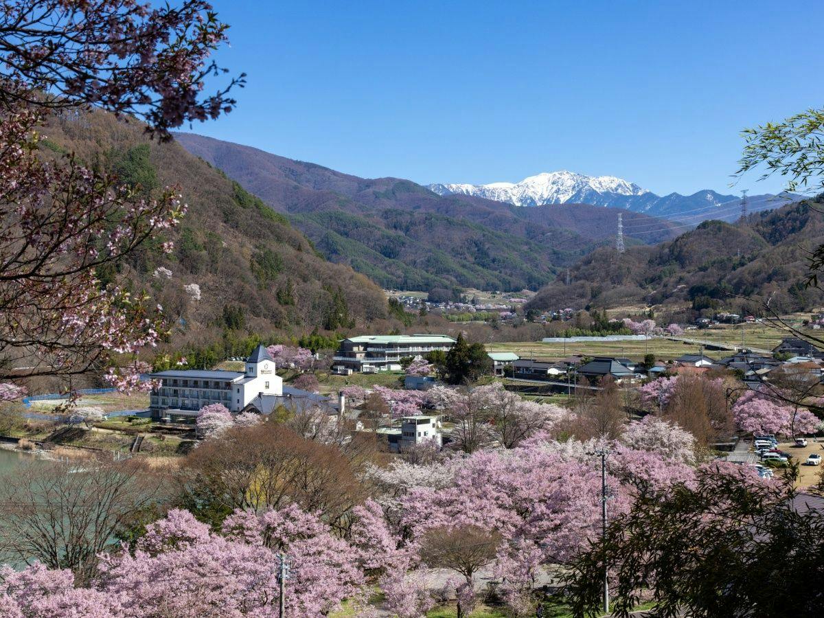 Takato Onsen Takato Sakura Hotel