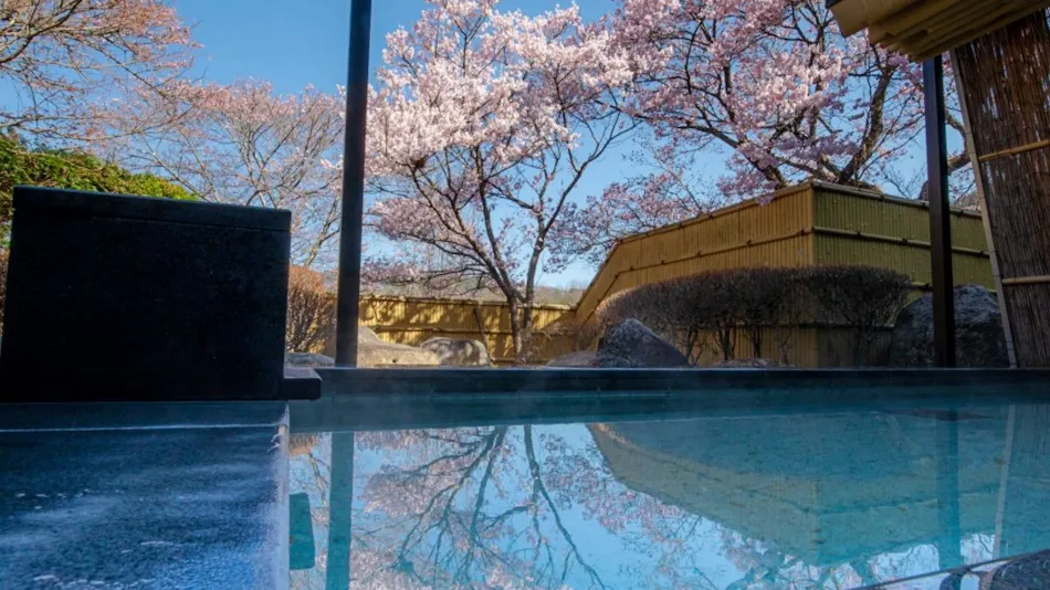 Takato Onsen Takato Sakura Hotel