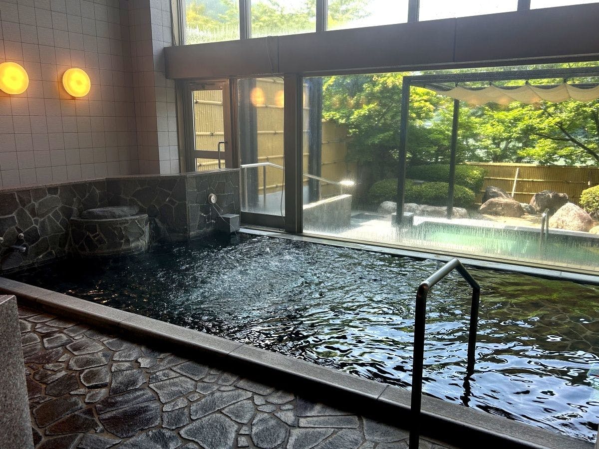 Takato Onsen Takato Sakura Hotel